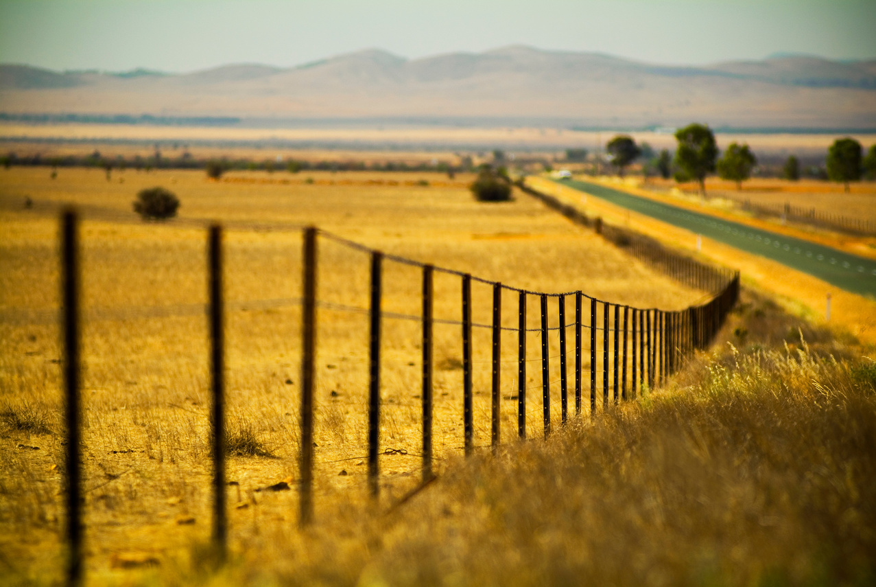 Farm Fence Road